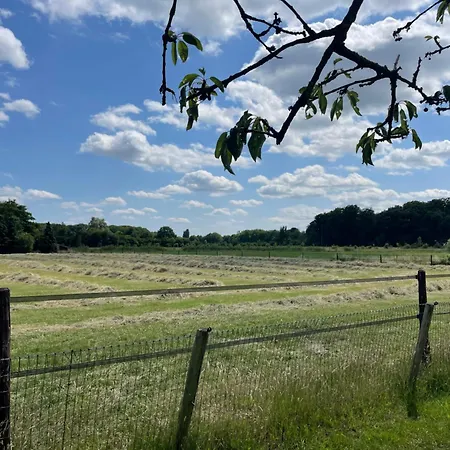 Het Wiekenkruis - Daar Bij Kempermolen Apartament Breedenbroek