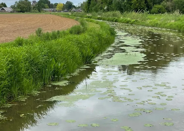 Het Wiekenkruis - Daar Bij Kempermolen