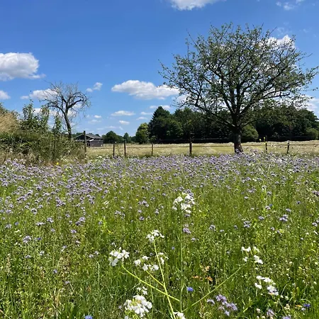 Het Wiekenkruis - Daar Bij Kempermolen דירה