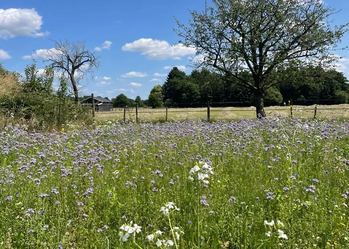 Het Wiekenkruis - Daar Bij Kempermolen דירה