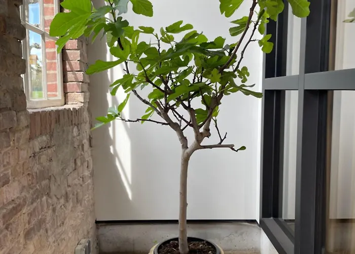 Het Wiekenkruis - Daar Bij Kempermolen דירה *